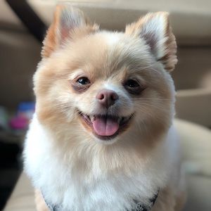 Meet your Posher, Jeff